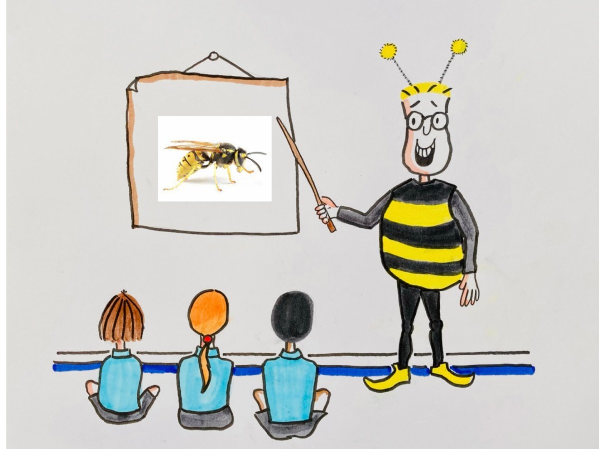 … Beekeeping for the&nbsp;Under-Sevens.